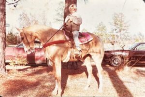 Child sitting on a large horse outdoors on a sunny day.